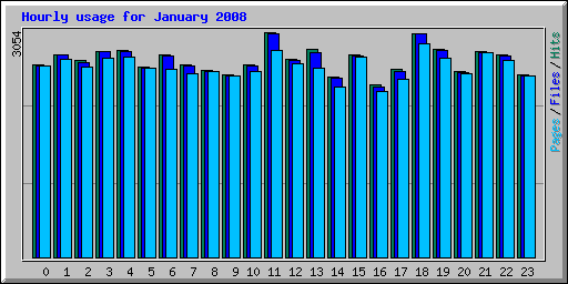 Hourly usage for January 2008