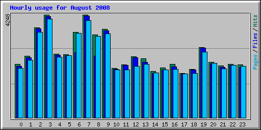 Hourly usage for August 2008