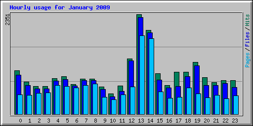 Hourly usage for January 2009